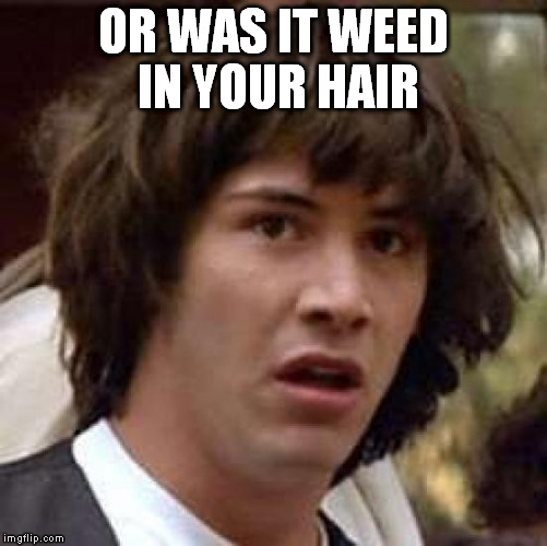 Conspiracy Keanu Meme | OR WAS IT WEED IN YOUR HAIR | image tagged in memes,conspiracy keanu | made w/ Imgflip meme maker