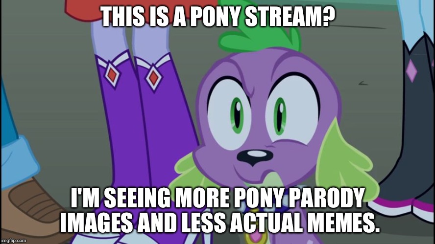 Mlp equestria girls spike da fuk | THIS IS A PONY STREAM? I'M SEEING MORE PONY PARODY IMAGES AND LESS ACTUAL MEMES. | image tagged in mlp equestria girls spike da fuk | made w/ Imgflip meme maker