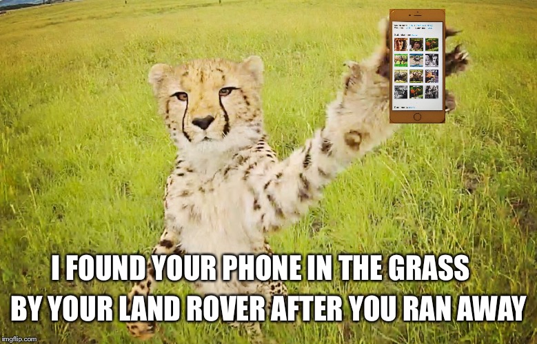 TAKE A SWIPE | I FOUND YOUR PHONE IN THE GRASS; BY YOUR LAND ROVER AFTER YOU RAN AWAY | image tagged in take a swipe | made w/ Imgflip meme maker