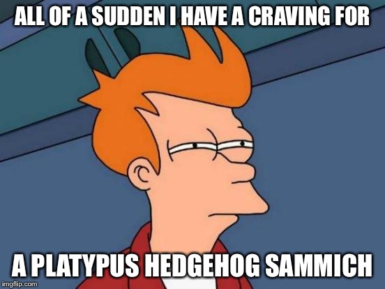 Futurama Fry Meme | ALL OF A SUDDEN I HAVE A CRAVING FOR A PLATYPUS HEDGEHOG SAMMICH | image tagged in memes,futurama fry | made w/ Imgflip meme maker