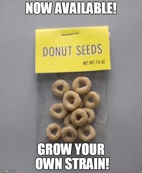 Organic Cop Catchers | NOW AVAILABLE! GROW YOUR OWN STRAIN! | image tagged in donut seeds,funny memes,funny meme,too funny,cops and donuts,donuts | made w/ Imgflip meme maker