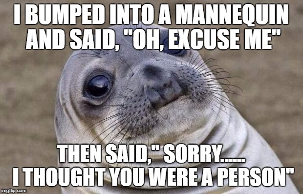 Awkward Moment Sealion Meme | I BUMPED INTO A MANNEQUIN AND SAID, "OH, EXCUSE ME"; THEN SAID," SORRY...... I THOUGHT YOU WERE A PERSON" | image tagged in memes,awkward moment sealion | made w/ Imgflip meme maker