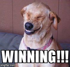 funny dog | WINNING!!! | image tagged in funny dog | made w/ Imgflip meme maker