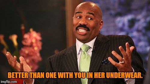 Steve Harvey Meme | BETTER THAN ONE WITH YOU IN HER UNDERWEAR. | image tagged in memes,steve harvey | made w/ Imgflip meme maker