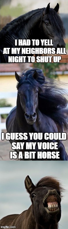 Double pun, anyone? | I HAD TO YELL AT MY NEIGHBORS ALL NIGHT TO SHUT UP; I GUESS YOU COULD SAY MY VOICE IS A BIT HORSE | image tagged in hoarse,horse,hur hur,puns,memes | made w/ Imgflip meme maker