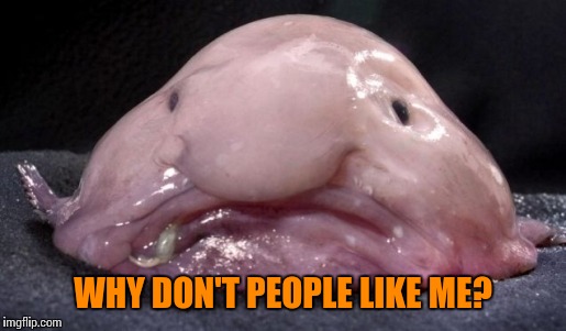 WHY DON'T PEOPLE LIKE ME? | made w/ Imgflip meme maker