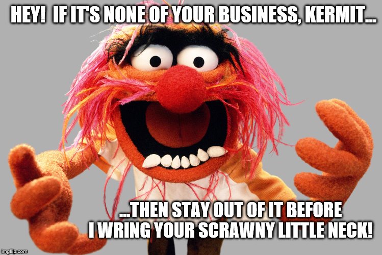 Animal Muppets: Stay out of it, Kermit | HEY!  IF IT'S NONE OF YOUR BUSINESS, KERMIT... ...THEN STAY OUT OF IT BEFORE I WRING YOUR SCRAWNY LITTLE NECK! | image tagged in animal muppets,memes,kermit the frog,but thats none of my business,angry guy | made w/ Imgflip meme maker