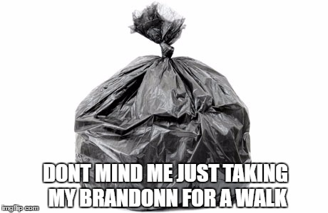 DONT MIND ME JUST TAKING MY BRANDONN FOR A WALK | made w/ Imgflip meme maker