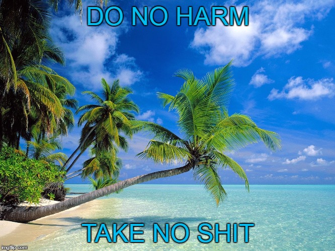 My Motto For Life | DO NO HARM; TAKE NO SHIT | image tagged in motivational,motivators,motivation | made w/ Imgflip meme maker