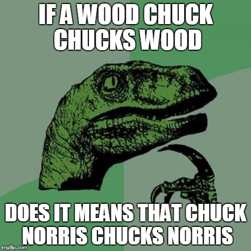 Philosoraptor | IF A WOOD CHUCK CHUCKS WOOD; DOES IT MEANS THAT CHUCK NORRIS CHUCKS NORRIS | image tagged in memes,philosoraptor | made w/ Imgflip meme maker