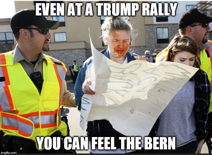 Pepper Spray Berns! | EVEN AT A TRUMP RALLY; YOU CAN FEEL THE BERN | image tagged in trump protester,donald trump | made w/ Imgflip meme maker