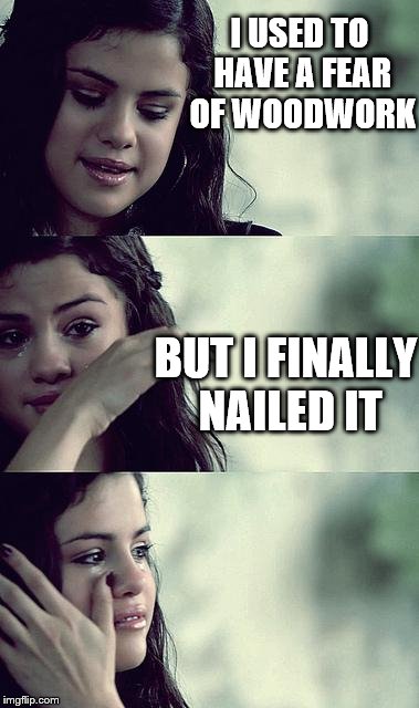 selena gomez crying | I USED TO HAVE A FEAR OF WOODWORK; BUT I FINALLY NAILED IT | image tagged in selena gomez crying,memes,woodwork | made w/ Imgflip meme maker