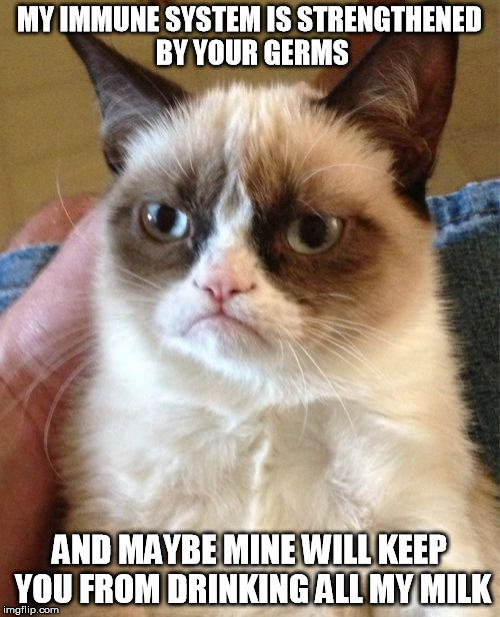 Grumpy Cat Meme | MY IMMUNE SYSTEM IS STRENGTHENED BY YOUR GERMS AND MAYBE MINE WILL KEEP YOU FROM DRINKING ALL MY MILK | image tagged in memes,grumpy cat | made w/ Imgflip meme maker