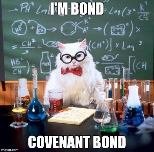Chemistry Cat Meme | I'M BOND; COVENANT BOND | image tagged in memes,chemistry cat | made w/ Imgflip meme maker