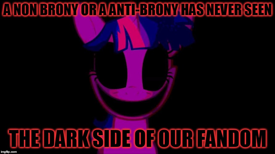 princess twilight sparkle | A NON BRONY OR A ANTI-BRONY HAS NEVER SEEN; THE DARK SIDE OF OUR FANDOM | image tagged in brony,bronies,my little pony,pegasister,mlp | made w/ Imgflip meme maker
