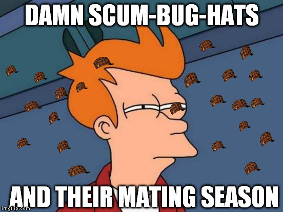 With spring come the bugs. | DAMN SCUM-BUG-HATS; AND THEIR MATING SEASON | image tagged in memes,futurama fry,scumbag | made w/ Imgflip meme maker