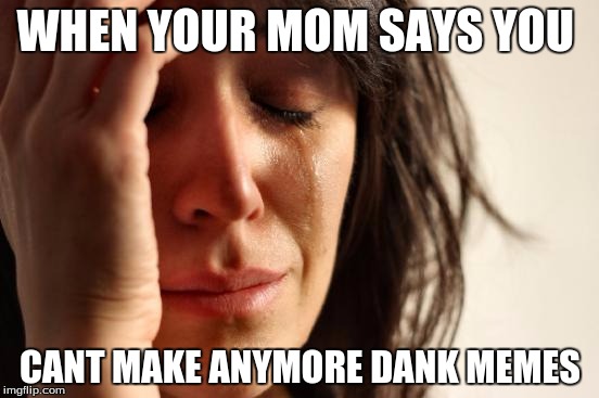 First World Problems | WHEN YOUR MOM SAYS YOU; CANT MAKE ANYMORE DANK MEMES | image tagged in memes,first world problems | made w/ Imgflip meme maker