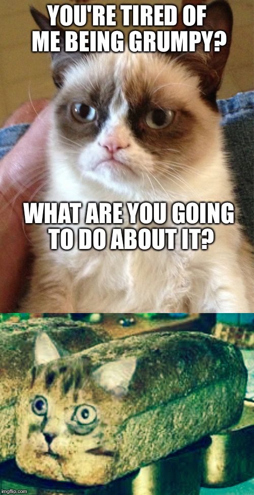 IT'S TIME TO DEAL WITH GRUMPY CAT | YOU'RE TIRED OF ME BEING GRUMPY? WHAT ARE YOU GOING TO DO ABOUT IT? | image tagged in grumpy cat,bread | made w/ Imgflip meme maker