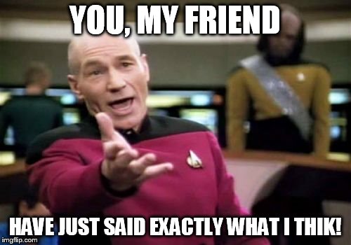 Picard Wtf Meme | YOU, MY FRIEND HAVE JUST SAID EXACTLY WHAT I THIK! | image tagged in memes,picard wtf | made w/ Imgflip meme maker