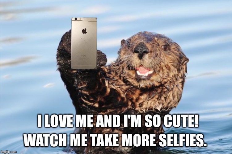 CUTIE | WATCH ME TAKE MORE SELFIES. I LOVE ME AND I'M SO CUTE! | image tagged in no thank you,selfie,iphone | made w/ Imgflip meme maker
