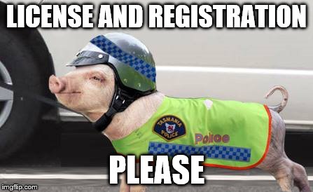 LICENSE AND REGISTRATION; PLEASE | image tagged in officer bacon | made w/ Imgflip meme maker