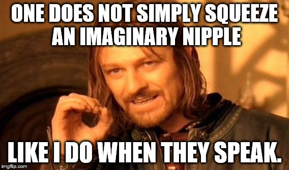 One Does Not Simply Meme | ONE DOES NOT SIMPLY SQUEEZE AN IMAGINARY NIPPLE; LIKE I DO WHEN THEY SPEAK. | image tagged in memes,one does not simply | made w/ Imgflip meme maker