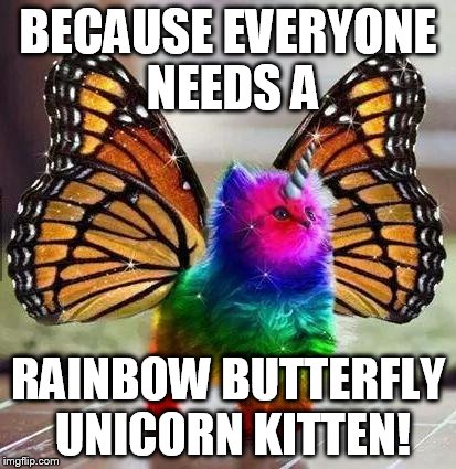 Rainbow unicorn butterfly kitten | BECAUSE EVERYONE NEEDS A; RAINBOW BUTTERFLY UNICORN KITTEN! | image tagged in rainbow unicorn butterfly kitten | made w/ Imgflip meme maker