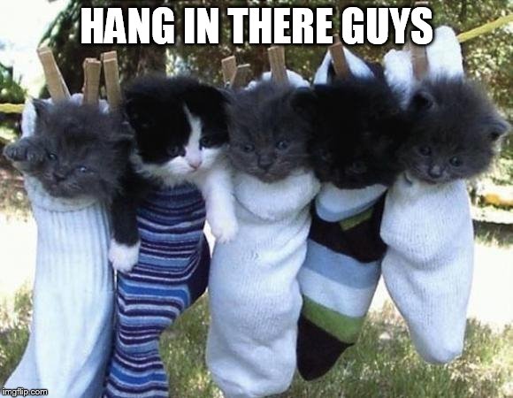 hang-in-there-kittens | HANG IN THERE GUYS | image tagged in hang-in-there-kittens | made w/ Imgflip meme maker