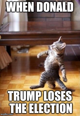Cool Cat Stroll | WHEN DONALD; TRUMP LOSES THE ELECTION | image tagged in memes,cool cat stroll | made w/ Imgflip meme maker