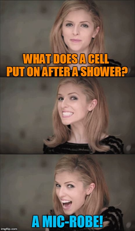 For all of you science nerds, courtesy of a friend of mine | WHAT DOES A CELL PUT ON AFTER A SHOWER? A MIC-ROBE! | image tagged in memes,bad pun anna kendrick,weird science,funny memes | made w/ Imgflip meme maker