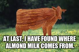 AT LAST, I HAVE FOUND WHERE ALMOND MILK COMES FROM. | image tagged in cow,memes | made w/ Imgflip meme maker