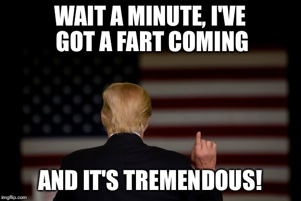 Trump's Tremendous Fart | WAIT A MINUTE, I'VE GOT A FART COMING; AND IT'S TREMENDOUS! | image tagged in donald trump,trump,fart,farting,farts | made w/ Imgflip meme maker