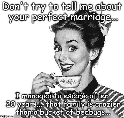 Retro woman teacup | Don't try to tell me about your perfect marriage... I managed to escape after 20 years.....that family is crazier than a bucket of bedbugs... | image tagged in retro woman teacup | made w/ Imgflip meme maker