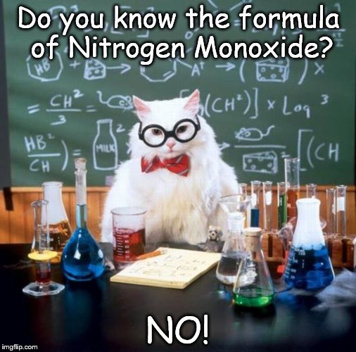 Chemistry Cat |  Do you know the formula of Nitrogen Monoxide? NO! | image tagged in memes,chemistry cat,elements,nitrogen,oxygen,formula | made w/ Imgflip meme maker