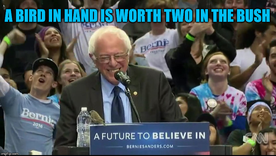 Bernie Bird 2016 2.0 | A BIRD IN HAND IS WORTH TWO IN THE BUSH | image tagged in bernie bird 2016 20 | made w/ Imgflip meme maker