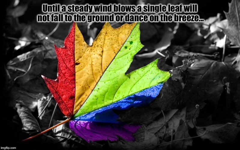 Dancing on the Breeze | Until a steady wind blows a single leaf will not fall to the ground or dance on the breeze... | image tagged in motivational,risk | made w/ Imgflip meme maker