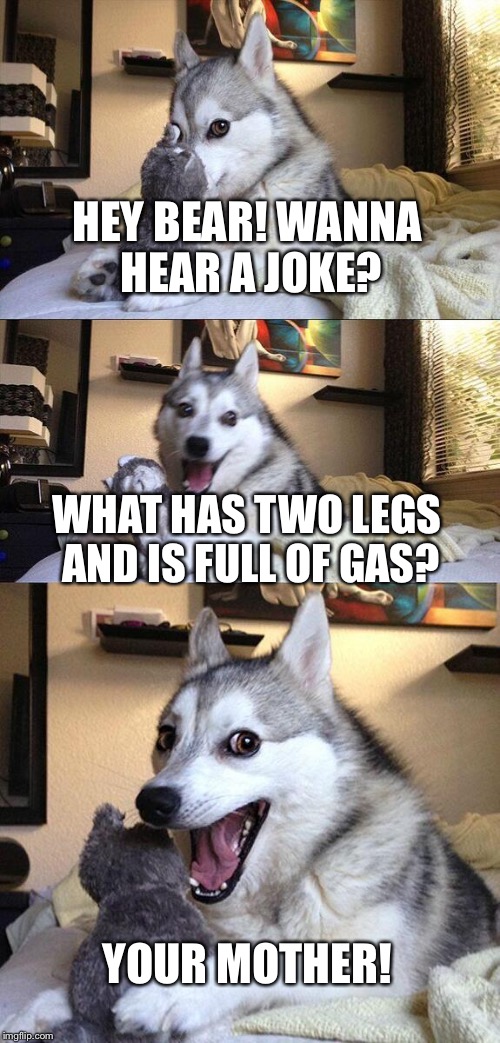 Bad Pun Dog | HEY BEAR! WANNA HEAR A JOKE? WHAT HAS TWO LEGS AND IS FULL OF GAS? YOUR MOTHER! | image tagged in memes,bad pun dog | made w/ Imgflip meme maker