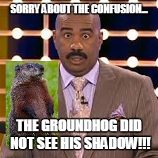 Steve Harvey cross-eyed | SORRY ABOUT THE CONFUSION... THE GROUNDHOG DID NOT SEE HIS SHADOW!!! | image tagged in steve harvey cross-eyed | made w/ Imgflip meme maker