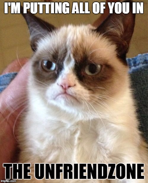 Grumpy Cat Meme | I'M PUTTING ALL OF YOU IN THE UNFRIENDZONE | image tagged in memes,grumpy cat | made w/ Imgflip meme maker