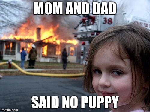 Disaster Girl Meme | MOM AND DAD; SAID NO PUPPY | image tagged in memes,disaster girl | made w/ Imgflip meme maker