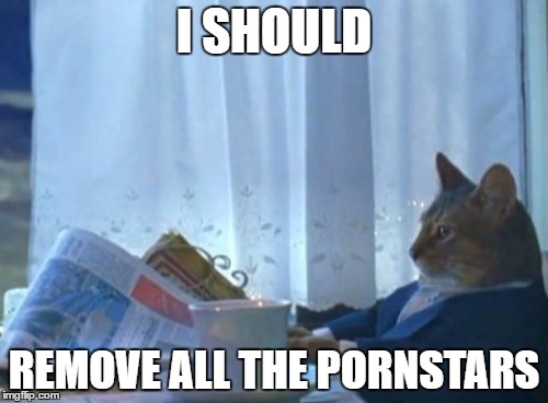 I Should Buy A Boat Cat Meme | I SHOULD; REMOVE ALL THE PORNSTARS | image tagged in memes,i should buy a boat cat,AdviceAnimals | made w/ Imgflip meme maker