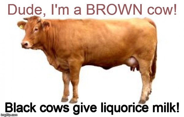 Dude, I'm a BROWN cow! Black cows give liquorice milk! | made w/ Imgflip meme maker