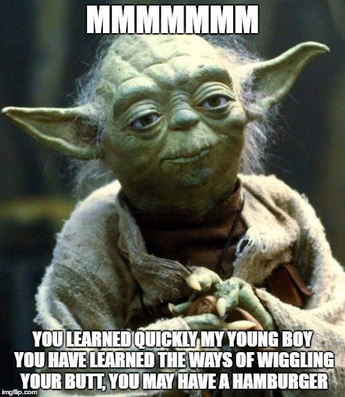 Star Wars Yoda | MMMMMMM; YOU LEARNED QUICKLY MY YOUNG BOY YOU HAVE LEARNED THE WAYS OF WIGGLING YOUR BUTT, YOU MAY HAVE A HAMBURGER | image tagged in memes,star wars yoda | made w/ Imgflip meme maker