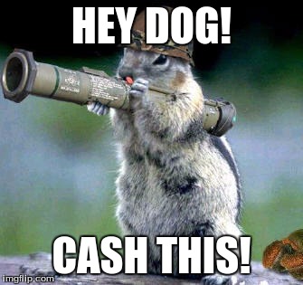 Bazooka Squirrel Meme | HEY DOG! CASH THIS! | image tagged in memes,bazooka squirrel | made w/ Imgflip meme maker