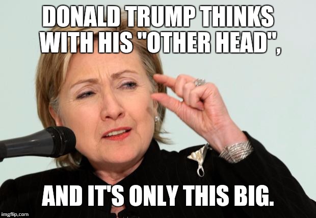 Hillary Clinton Fingers | DONALD TRUMP THINKS WITH HIS "OTHER HEAD", AND IT'S ONLY THIS BIG. | image tagged in hillary clinton fingers | made w/ Imgflip meme maker