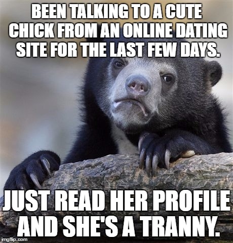 Confession Bear Meme | BEEN TALKING TO A CUTE CHICK FROM AN ONLINE DATING SITE FOR THE LAST FEW DAYS. JUST READ HER PROFILE AND SHE'S A TRANNY. | image tagged in memes,confession bear | made w/ Imgflip meme maker