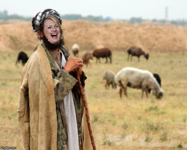 Hillary Sheep Herder Blank Meme Template