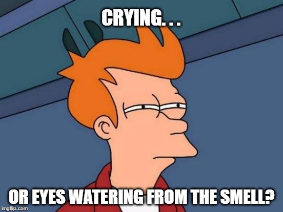 Futurama Fry Meme | CRYING. . . OR EYES WATERING FROM THE SMELL? | image tagged in memes,futurama fry | made w/ Imgflip meme maker