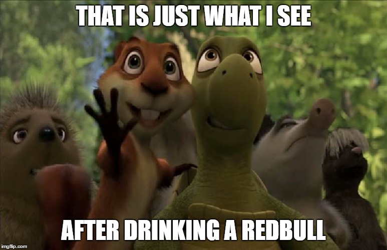 THAT IS JUST WHAT I SEE AFTER DRINKING A REDBULL | made w/ Imgflip meme maker