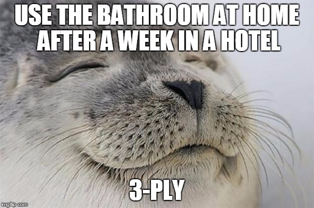 Satisfied Seal Meme | USE THE BATHROOM AT HOME AFTER A WEEK IN A HOTEL; 3-PLY | image tagged in memes,satisfied seal,AdviceAnimals | made w/ Imgflip meme maker